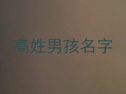高姓男孩名字