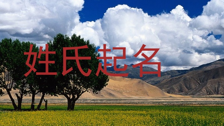 姓氏起名