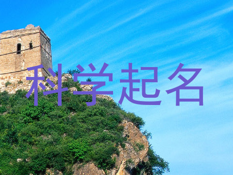 科学起名