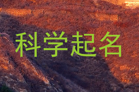 科学起名