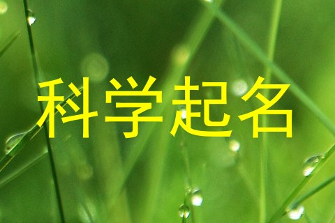 科学起名
