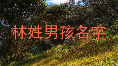林姓男孩名字