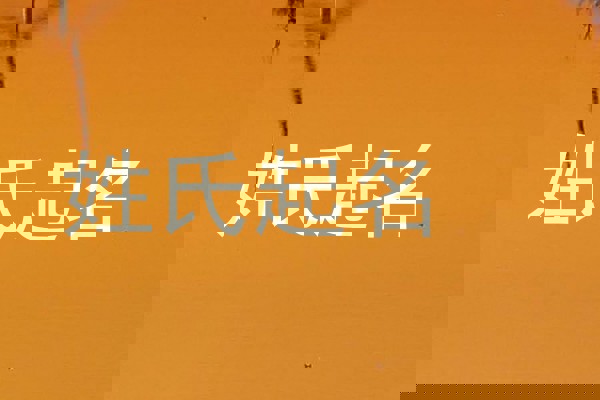 姓氏起名