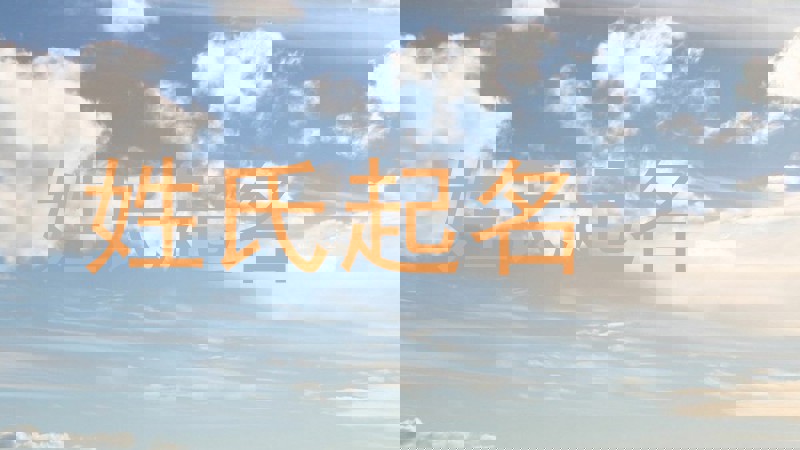 姓氏起名