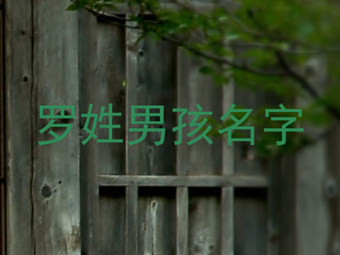 罗姓男孩名字