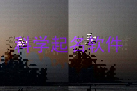 科学起名软件