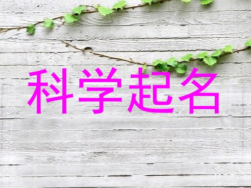 科学起名