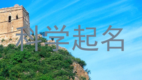 科学起名