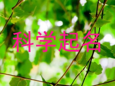 科学起名