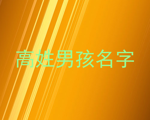 高姓男孩名字