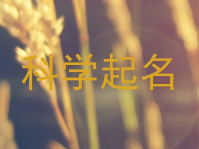 科学起名