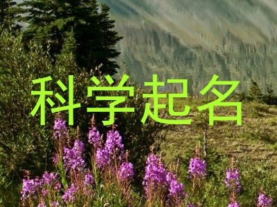 科学起名