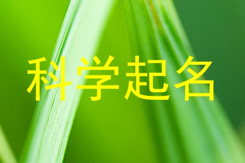 科学起名