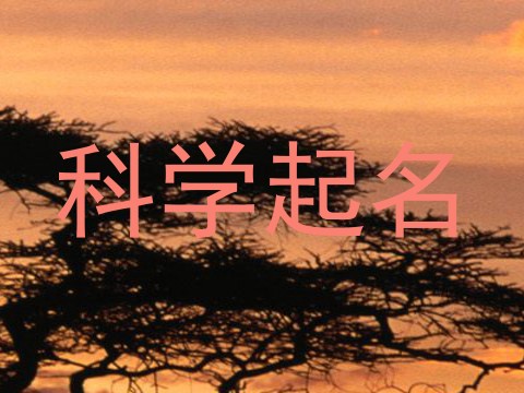 科学起名