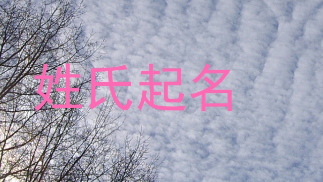 姓氏起名