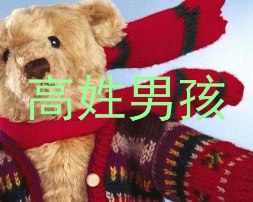 高姓男孩