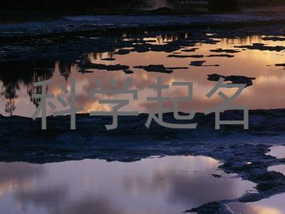 科学起名