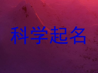 科学起名