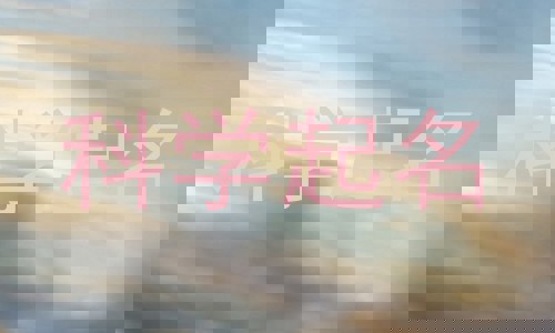 科学起名