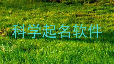 科学起名软件