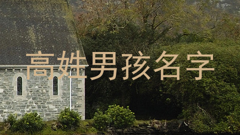 高姓男孩名字