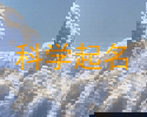 科学起名