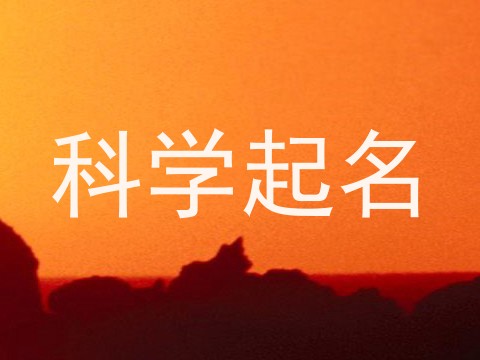 科学起名