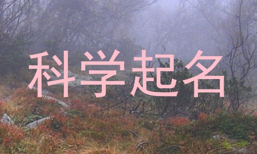 科学起名