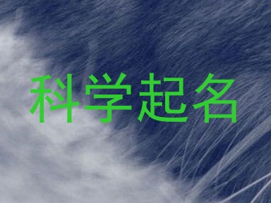 科学起名