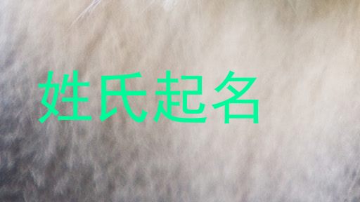 姓氏起名