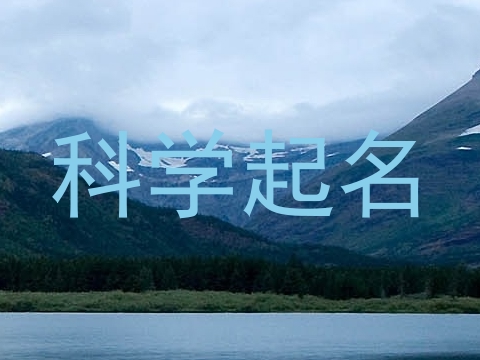 科学起名