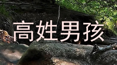 高姓男孩