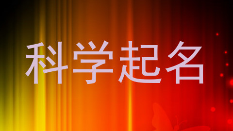 科学起名