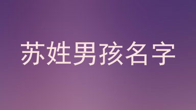 苏姓男孩名字