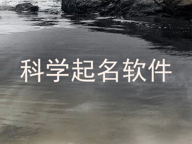 科学起名软件