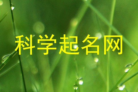 科学起名网