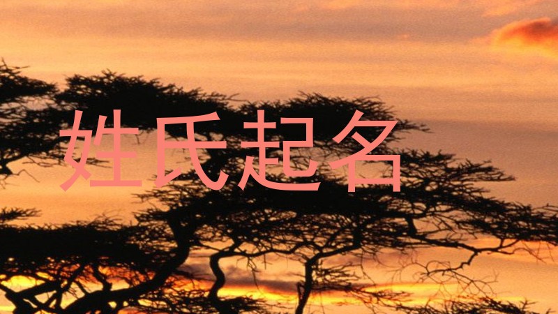 姓氏起名
