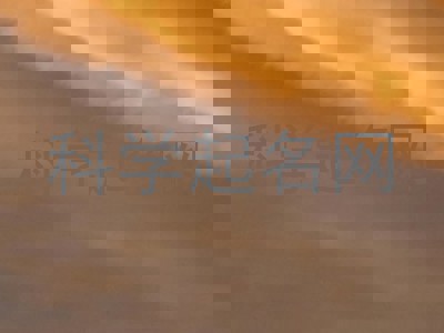 科学起名网