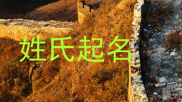 姓氏起名