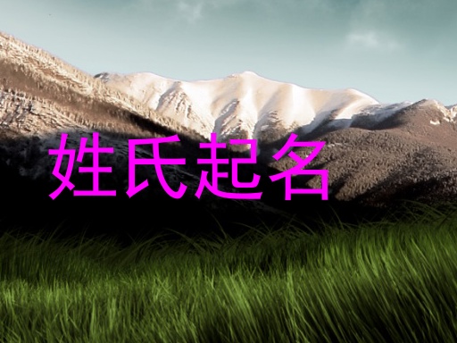 姓氏起名