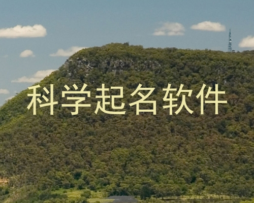 科学起名软件
