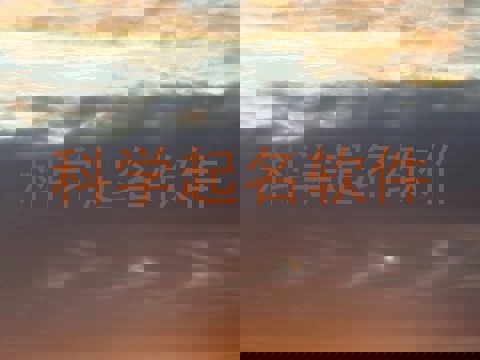 科学起名软件