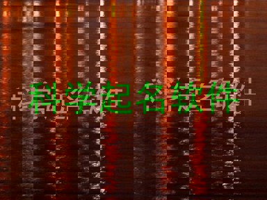 科学起名软件