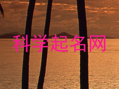 科学起名网