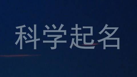 科学起名