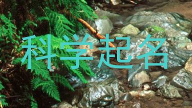 科学起名