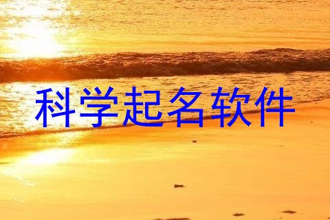 科学起名软件