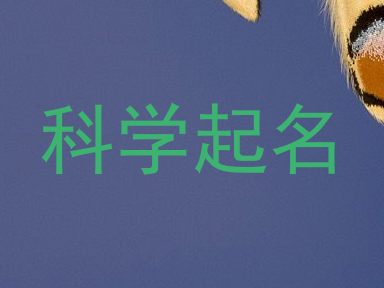 科学起名