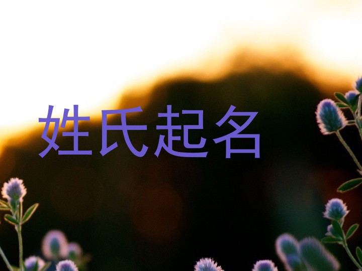 姓氏起名
