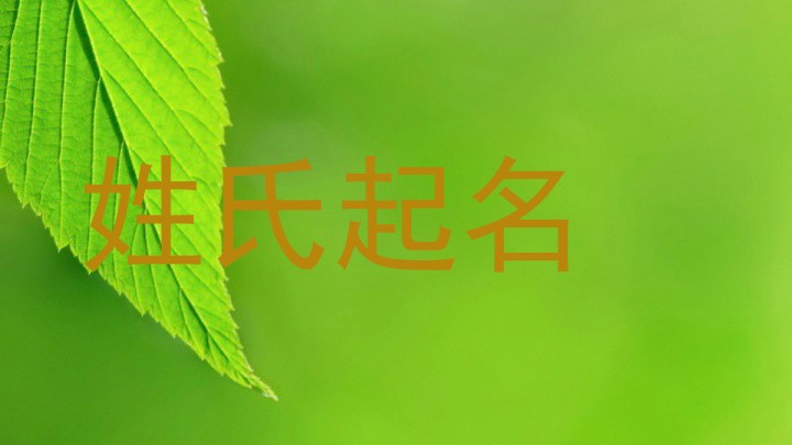 姓氏起名